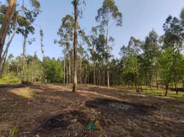 Terreno para Venda em Gondoriz