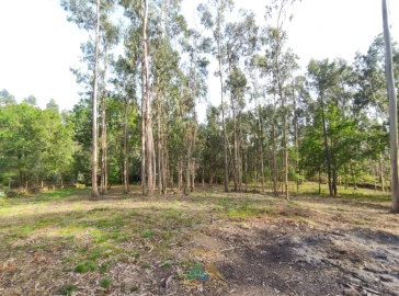 Terreno para Venda em Gondoriz