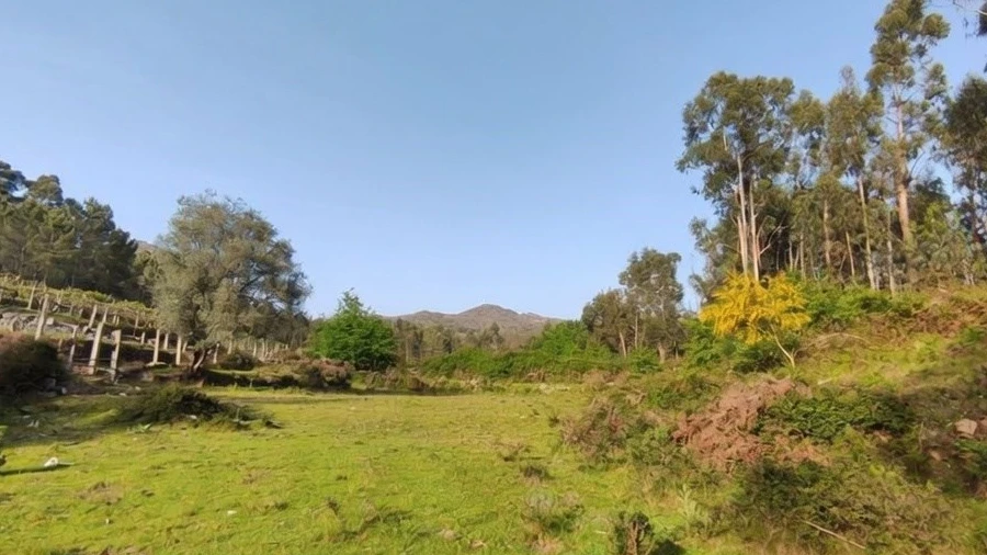 Terreno para Venda em Gondoriz