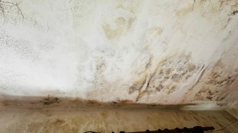Moradia T2 para Venda em Orjais