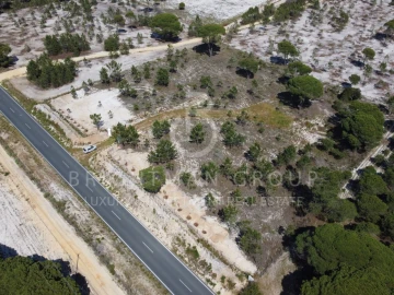 Terreno para Venda em Carvalhal