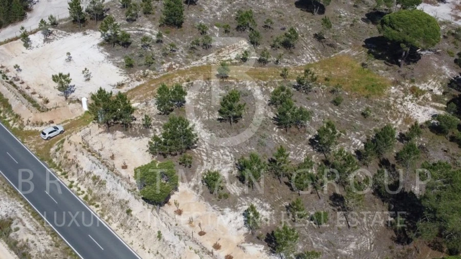 Terreno para Venda em Carvalhal