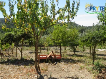 Moradia T3 para Venda em Sertã