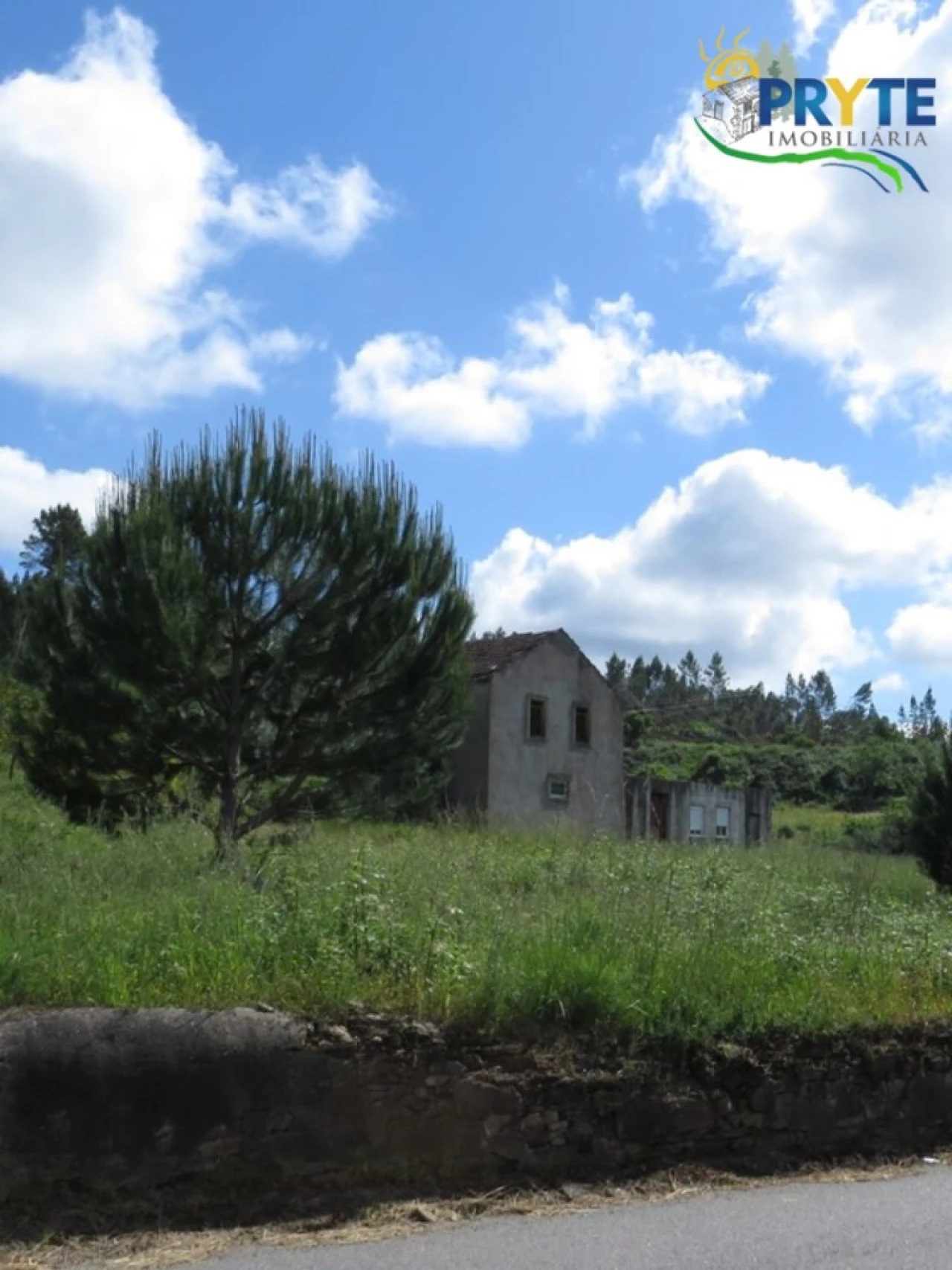 Quinta para Venda em Sertã Foto 12