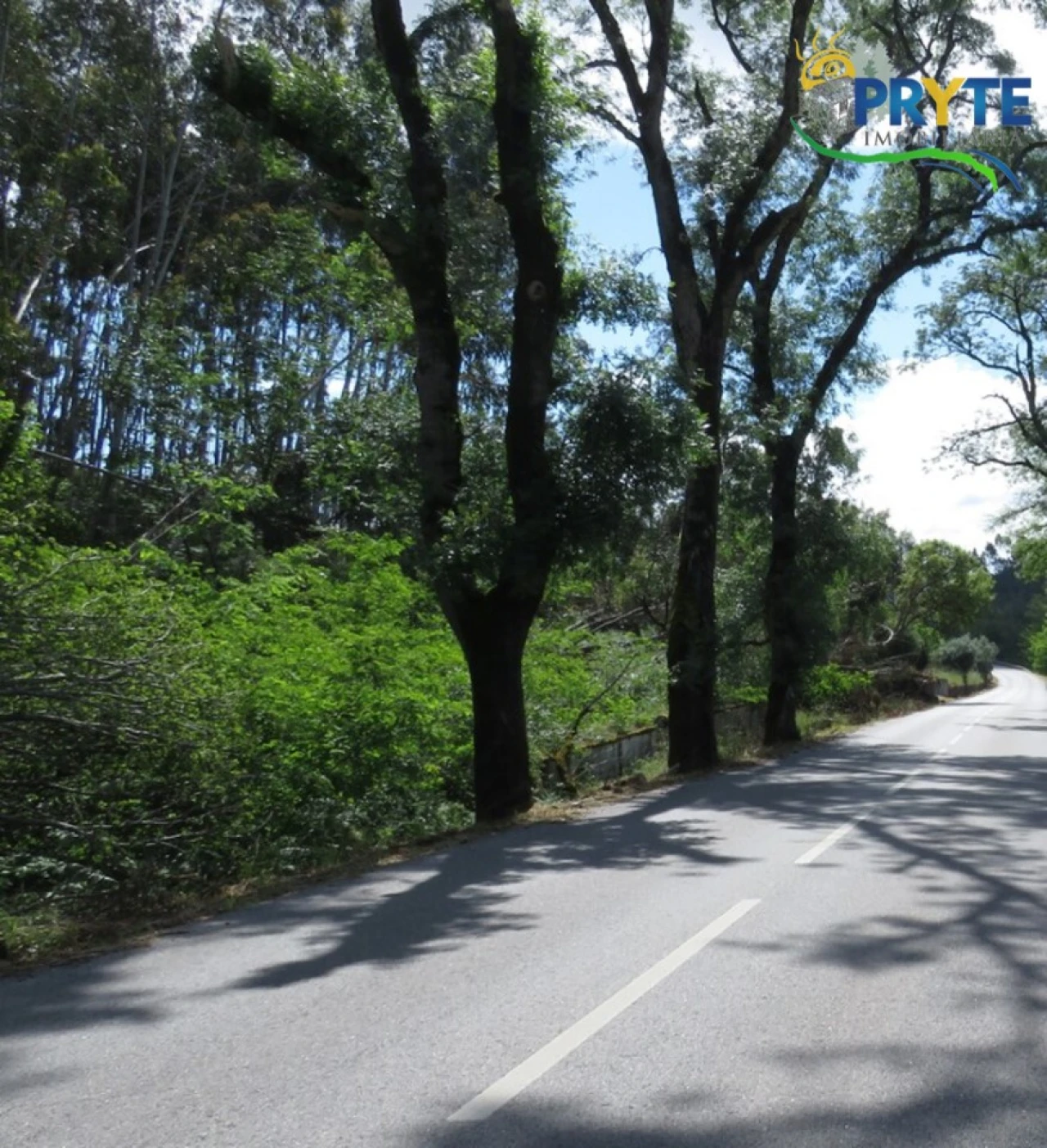Quinta para Venda em Sertã Foto 13
