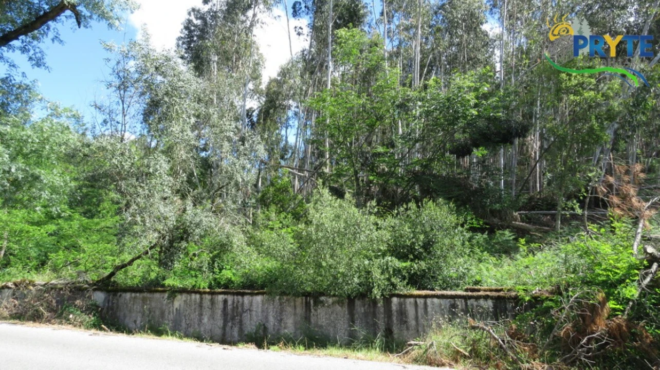 Quinta para Venda em Sertã Foto 14