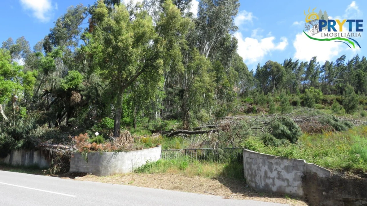 Quinta para Venda em Sertã Foto 15