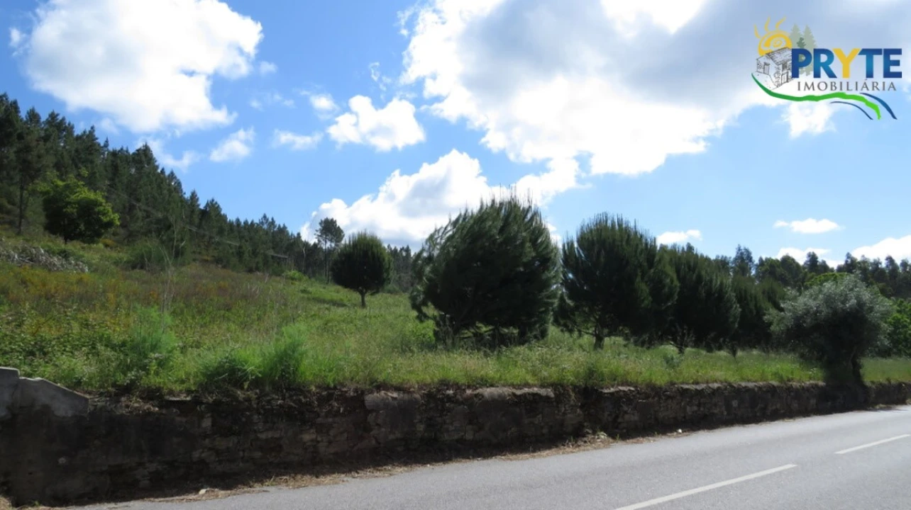 Quinta para Venda em Sertã Foto 16