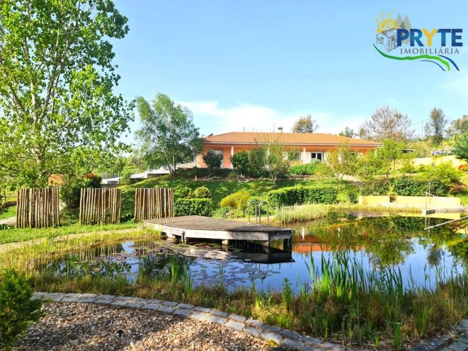 Quinta T3 para Venda em Cernache do Bonjardim, Nesperal e Palhais Foto 10