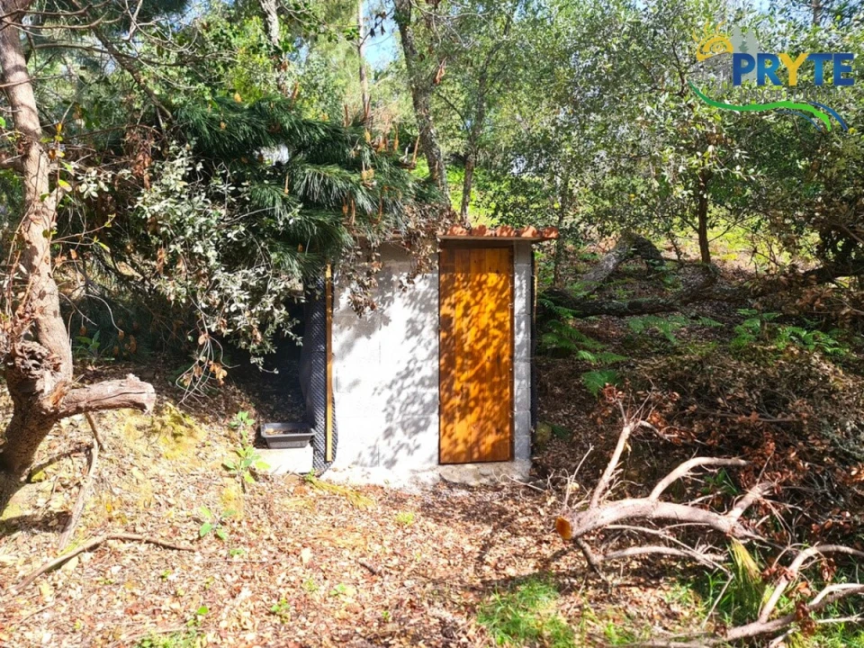 Quinta T3 para Venda em Cernache do Bonjardim, Nesperal e Palhais Foto 60