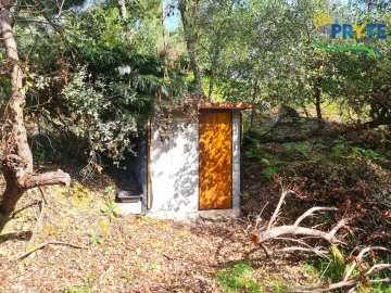 Quinta T3 para Venda em Cernache do Bonjardim, Nesperal e Palhais