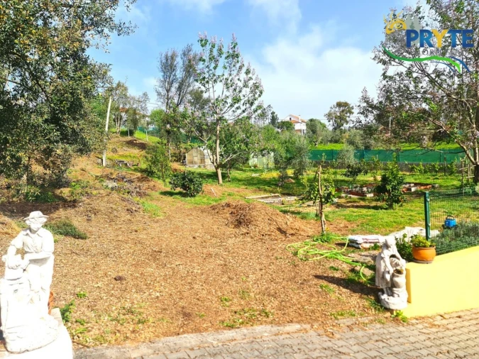Quinta T3 para Venda em Cernache do Bonjardim, Nesperal e Palhais Foto 59