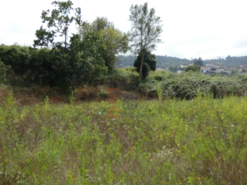 Quinta T2 para Venda em Sobreira Foto 13