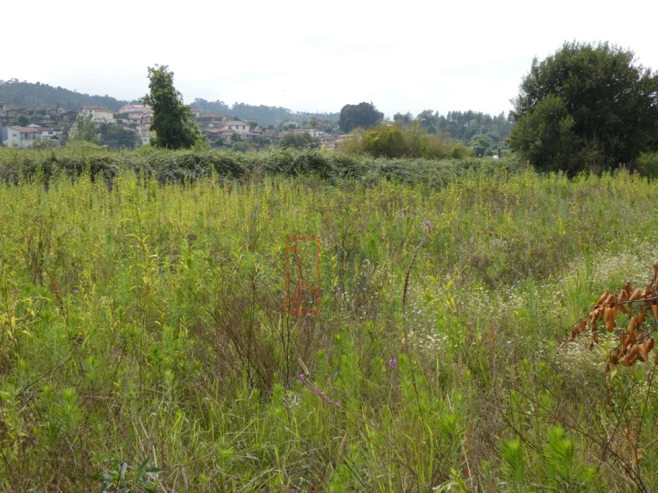 Quinta T2 para Venda em Sobreira Foto 15