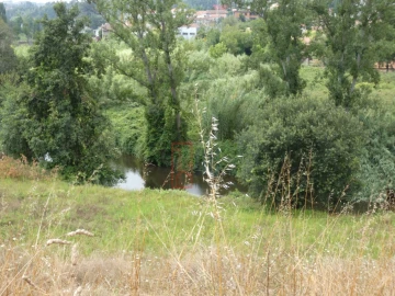 Quinta T2 para Venda em Sobreira