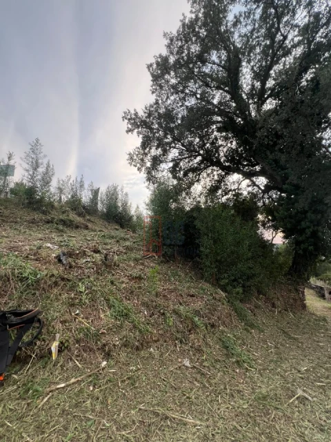 Quinta T2 para Venda em Sobreira