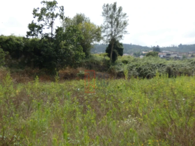 Quinta T2 para Venda em Sobreira Foto 13