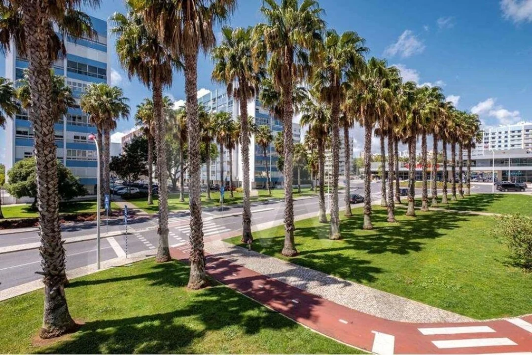 Apartamento T2 para Arrendamento em Oeiras e São Julião da Barra, Paço de Arcos e Caxias Foto 24