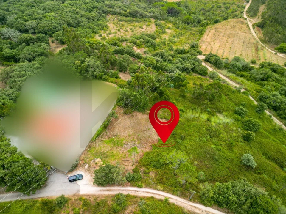 Terreno para Venda em Igreja Nova e Cheleiros Foto 10