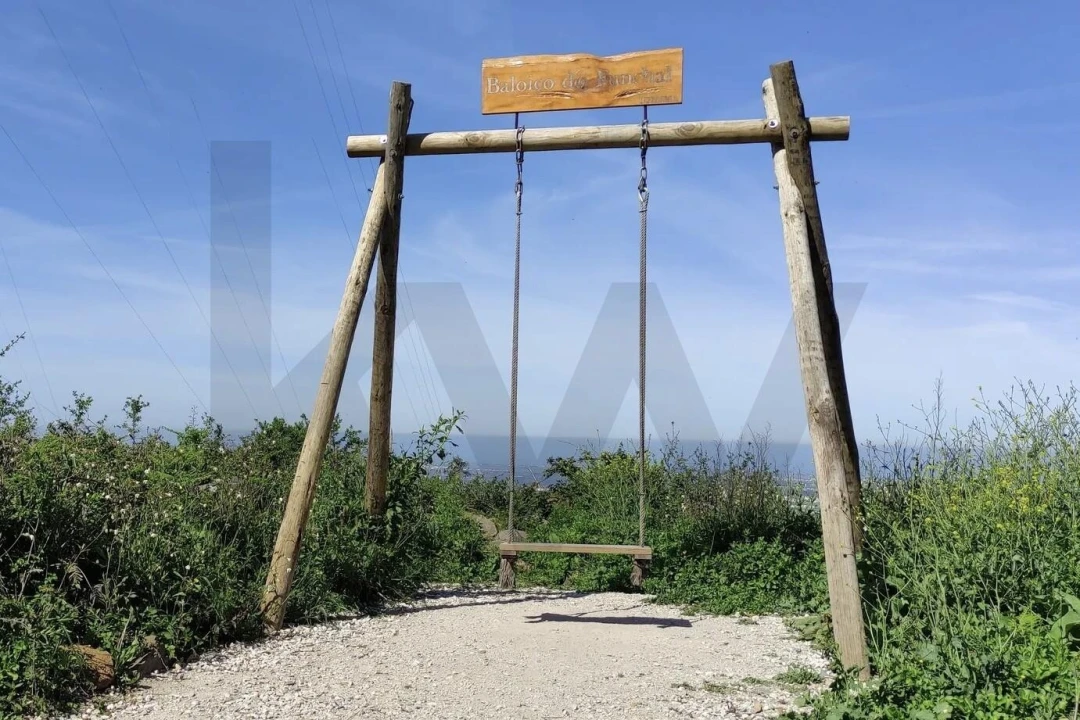 Terreno para Venda em Igreja Nova e Cheleiros Foto 13