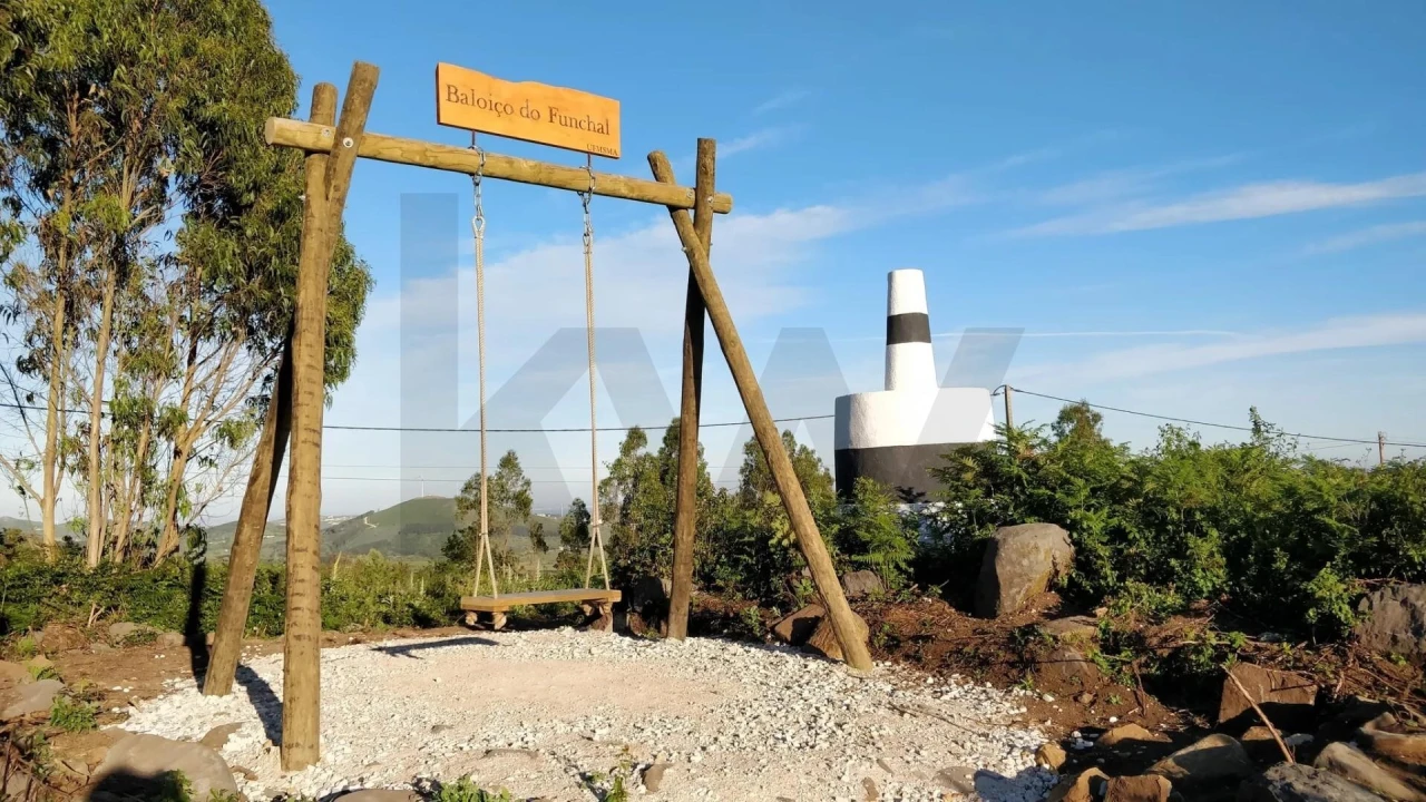 Terreno para Venda em Igreja Nova e Cheleiros Foto 12