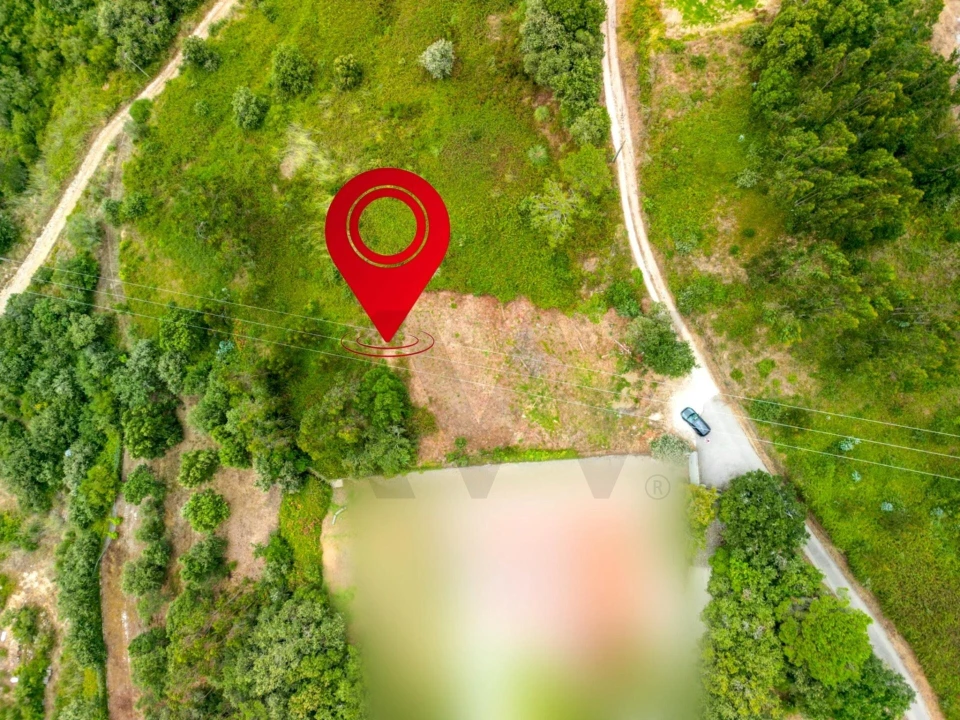 Terreno para Venda em Igreja Nova e Cheleiros Foto 7