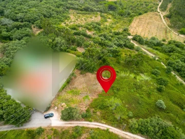 Terreno para Venda em Igreja Nova e Cheleiros
