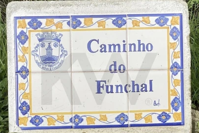 Terreno para Venda em Igreja Nova e Cheleiros