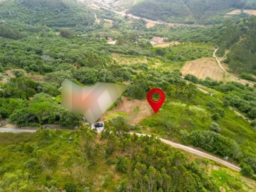 Terreno para Venda em Igreja Nova e Cheleiros