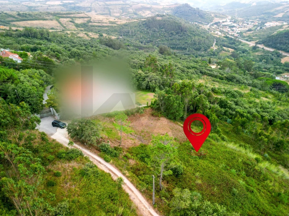 Terreno para Venda em Igreja Nova e Cheleiros Foto 9