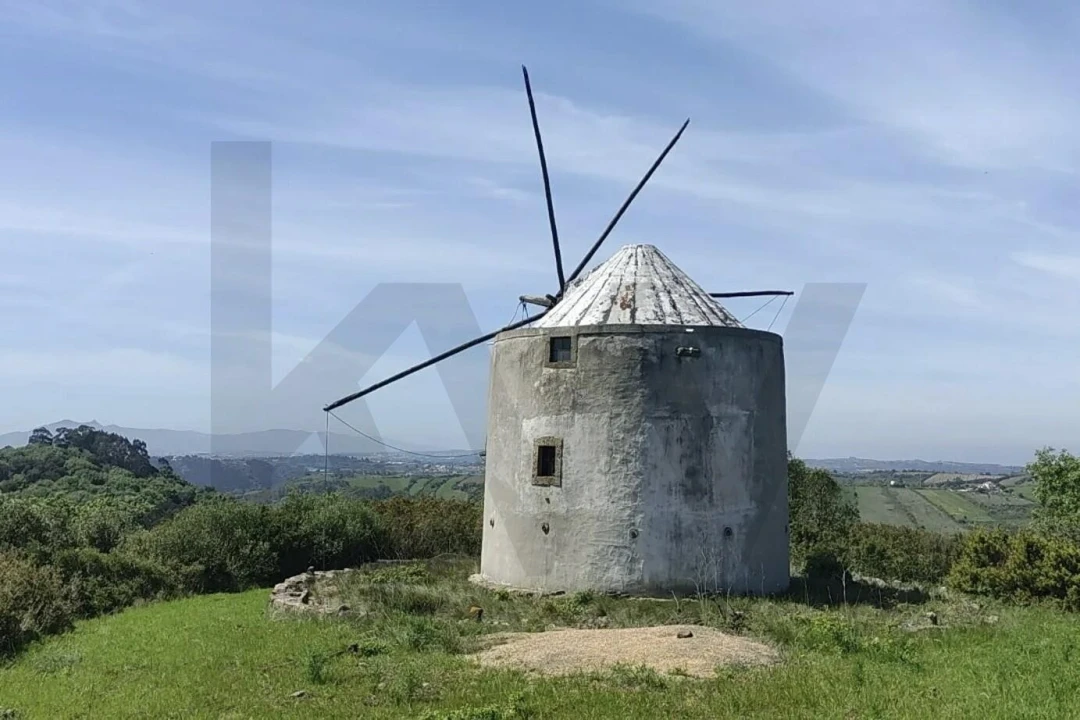 Terreno para Venda em Igreja Nova e Cheleiros Foto 14
