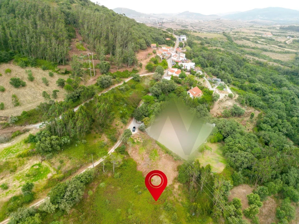 Terreno para Venda em Igreja Nova e Cheleiros Foto 11