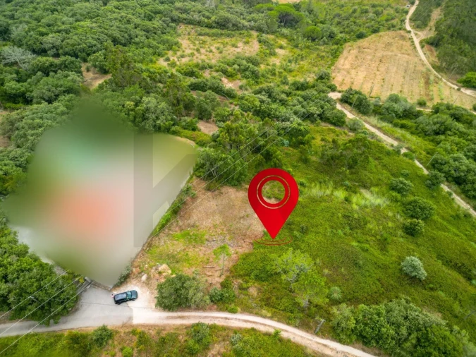 Terreno para Venda em Igreja Nova e Cheleiros Foto 10