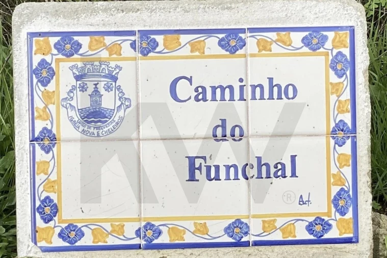 Terreno para Venda em Igreja Nova e Cheleiros Foto 15