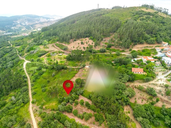 Terreno para Venda em Igreja Nova e Cheleiros Foto 8