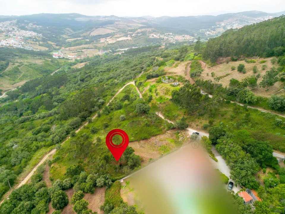 Terreno para Venda em Igreja Nova e Cheleiros Foto 6