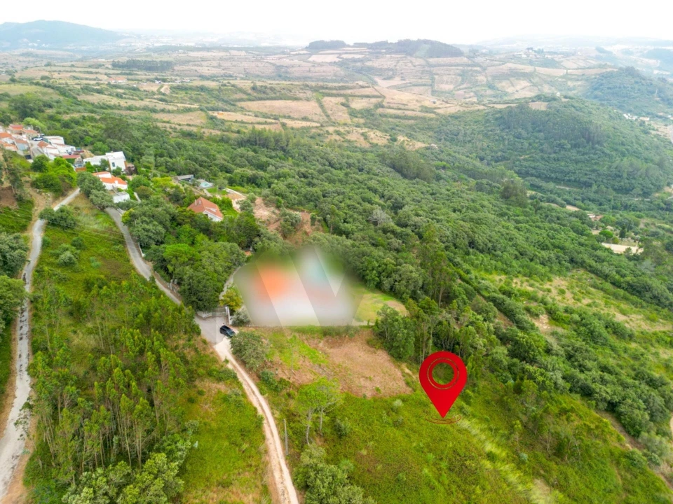 Terreno para Venda em Igreja Nova e Cheleiros Foto 5