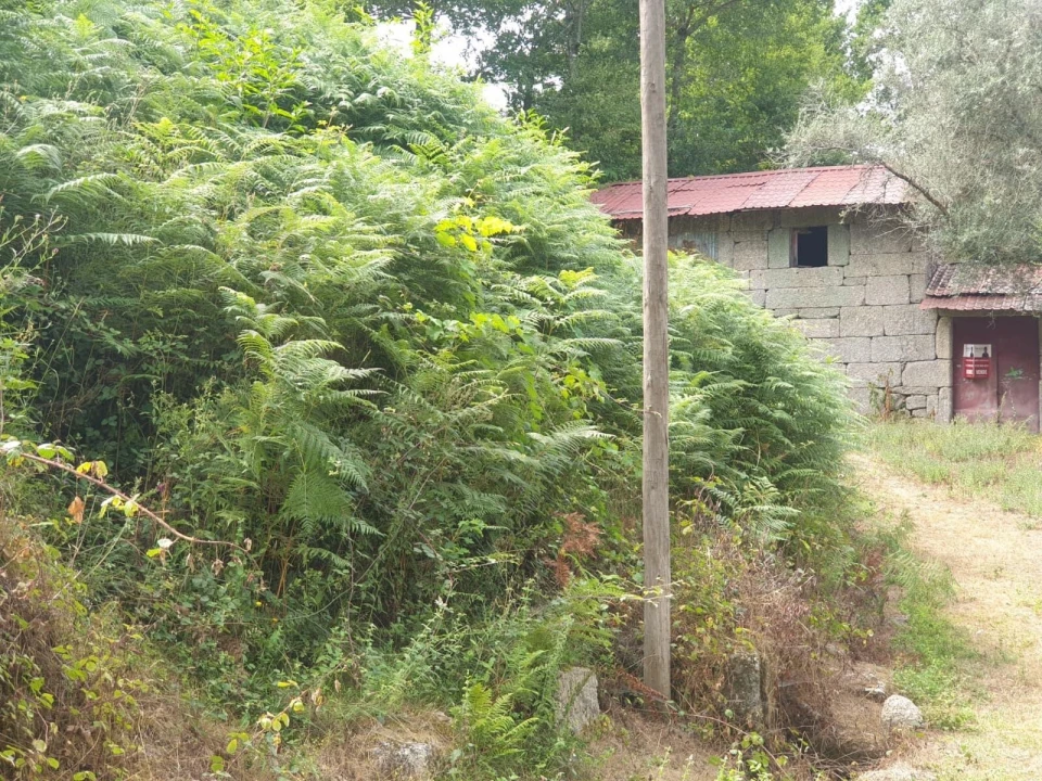 Moradia T5 para Venda em Vieira do Minho Foto 13