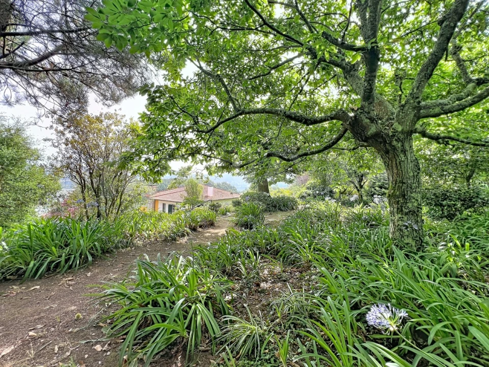 Moradia T7 para Venda em Caminha (Matriz) e Vilarelho Foto 20