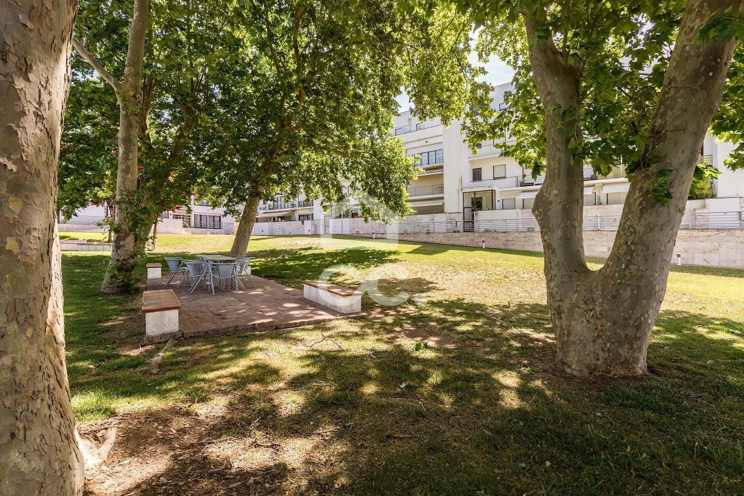 Apartamento T3 para Arrendamento em Malagueira e Horta das Figueiras Foto 18