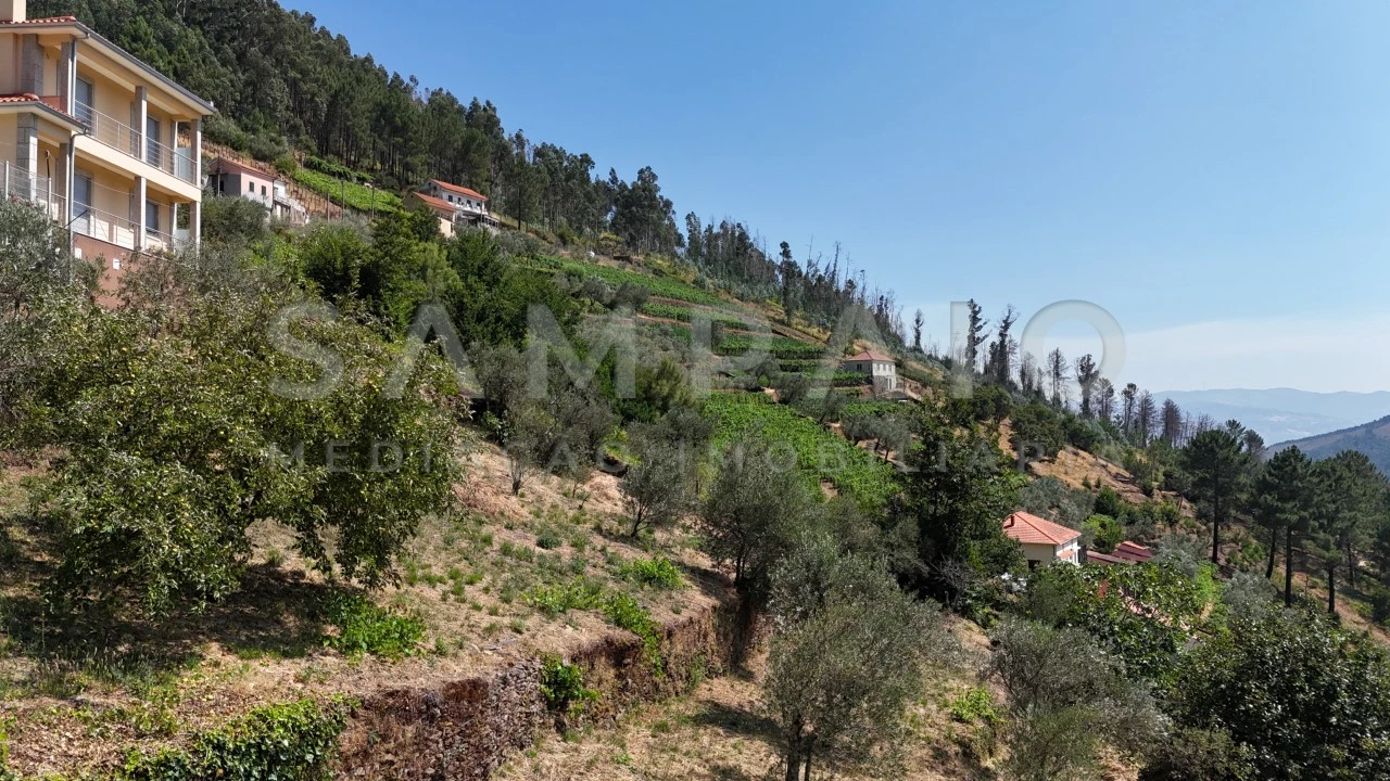 Terreno para Venda em Teixeira e Teixeiró Foto 8