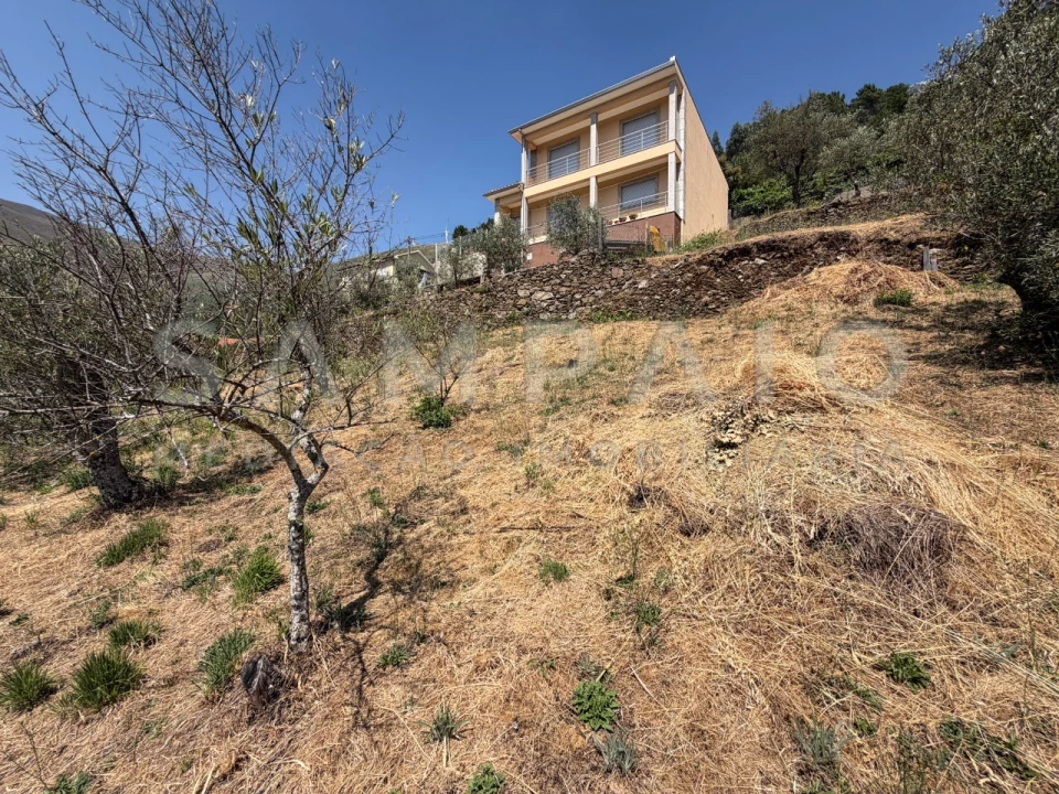 Terreno para Venda em Teixeira e Teixeiró Foto 13