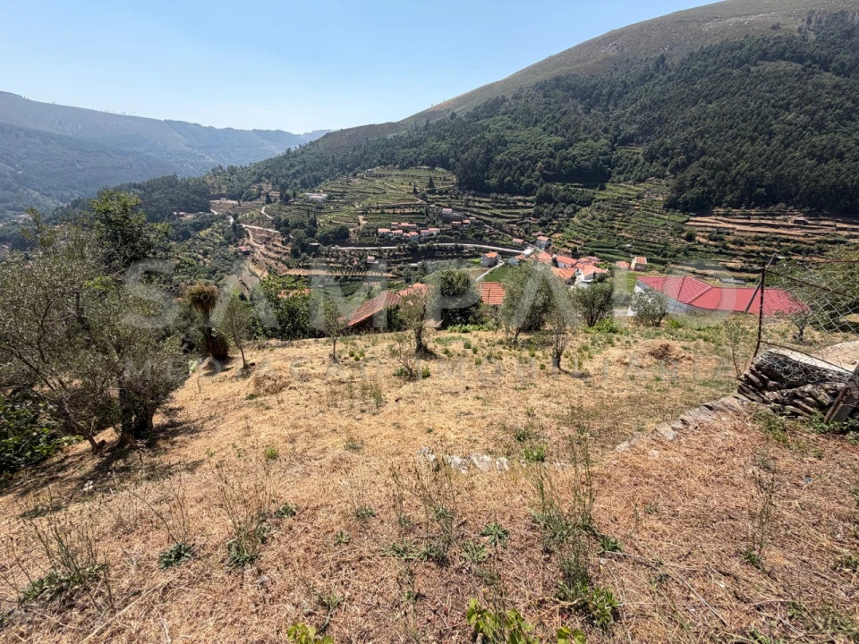 Terreno para Venda em Teixeira e Teixeiró Foto 15