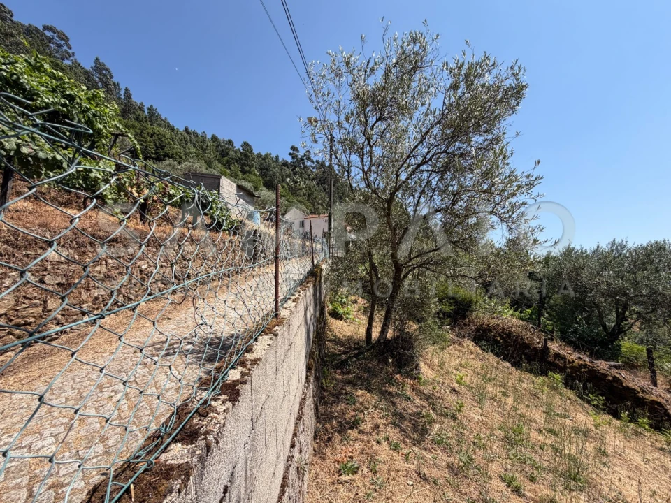 Terreno para Venda em Teixeira e Teixeiró Foto 17