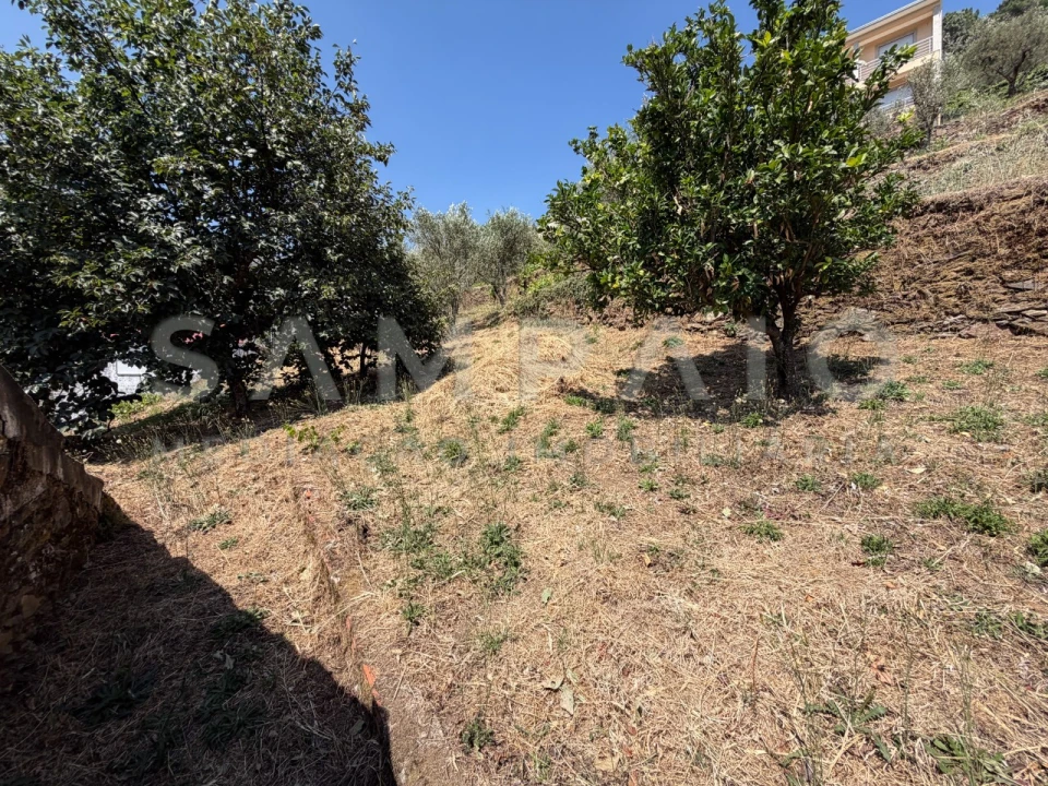 Terreno para Venda em Teixeira e Teixeiró Foto 19