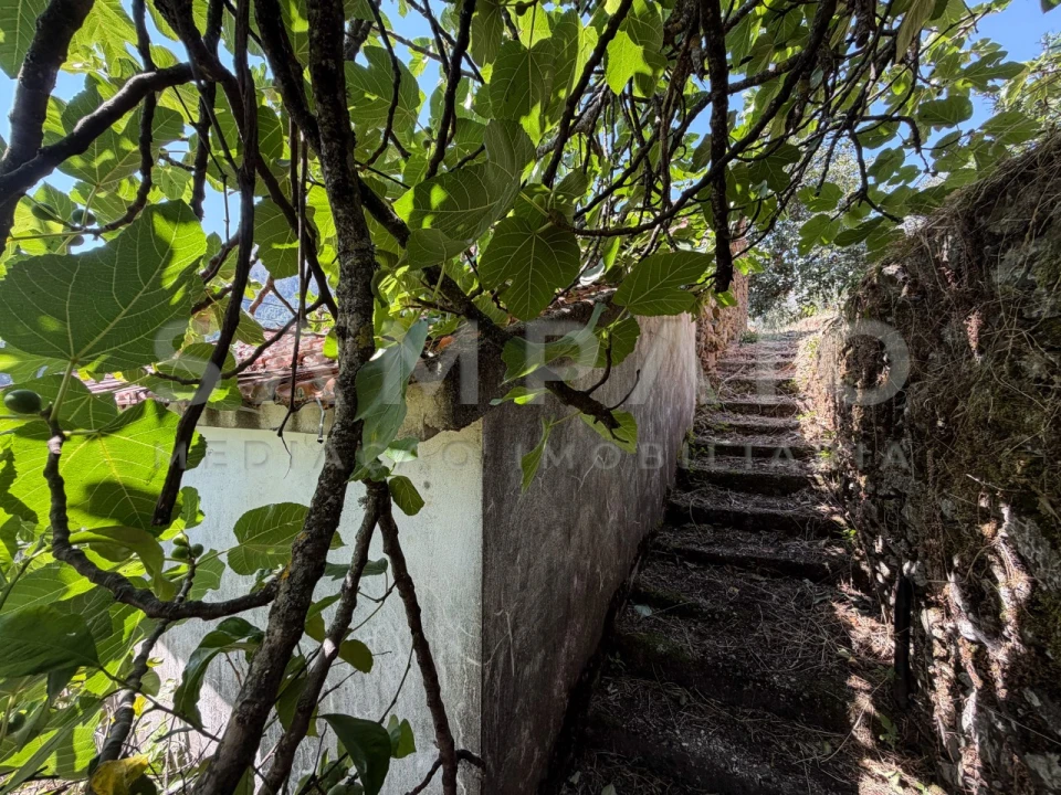 Terreno para Venda em Teixeira e Teixeiró Foto 20