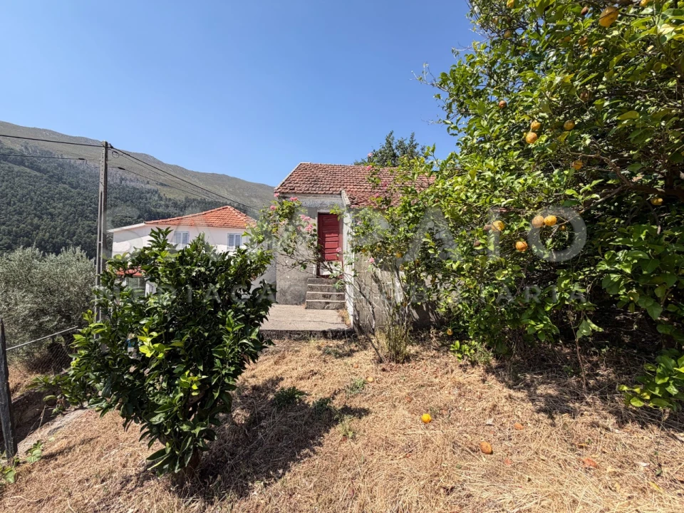 Terreno para Venda em Teixeira e Teixeiró Foto 21