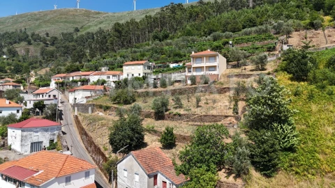 Terreno para Venda em Teixeira e Teixeiró