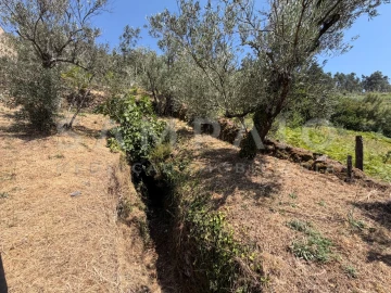 Terreno para Venda em Teixeira e Teixeiró