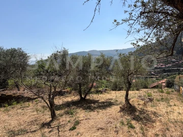 Terreno para Venda em Teixeira e Teixeiró